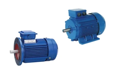 AC Induction Motor