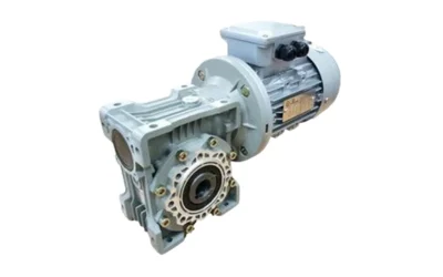 Worm Gear Motor